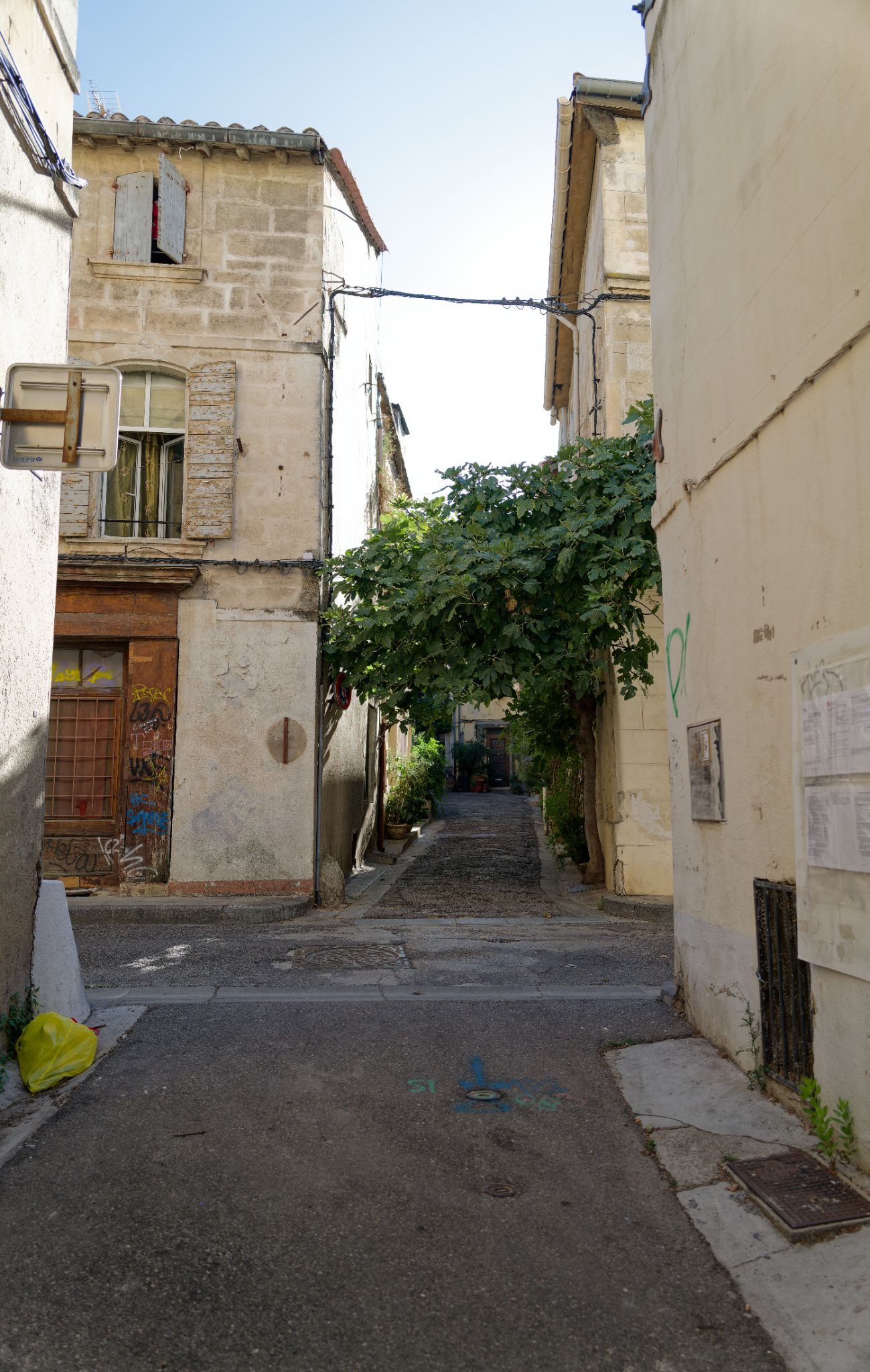 L1024396 DxO