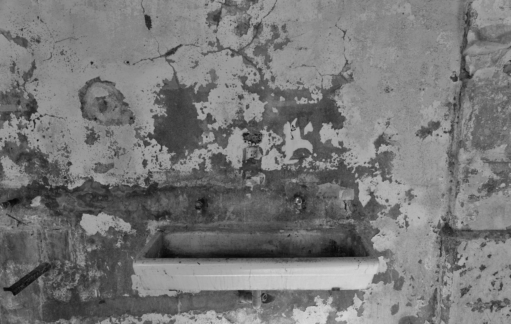 L1024445 Nik DxO