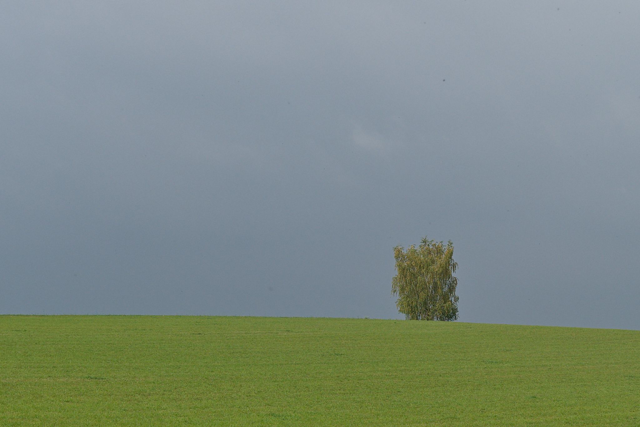 L1025096 DxO